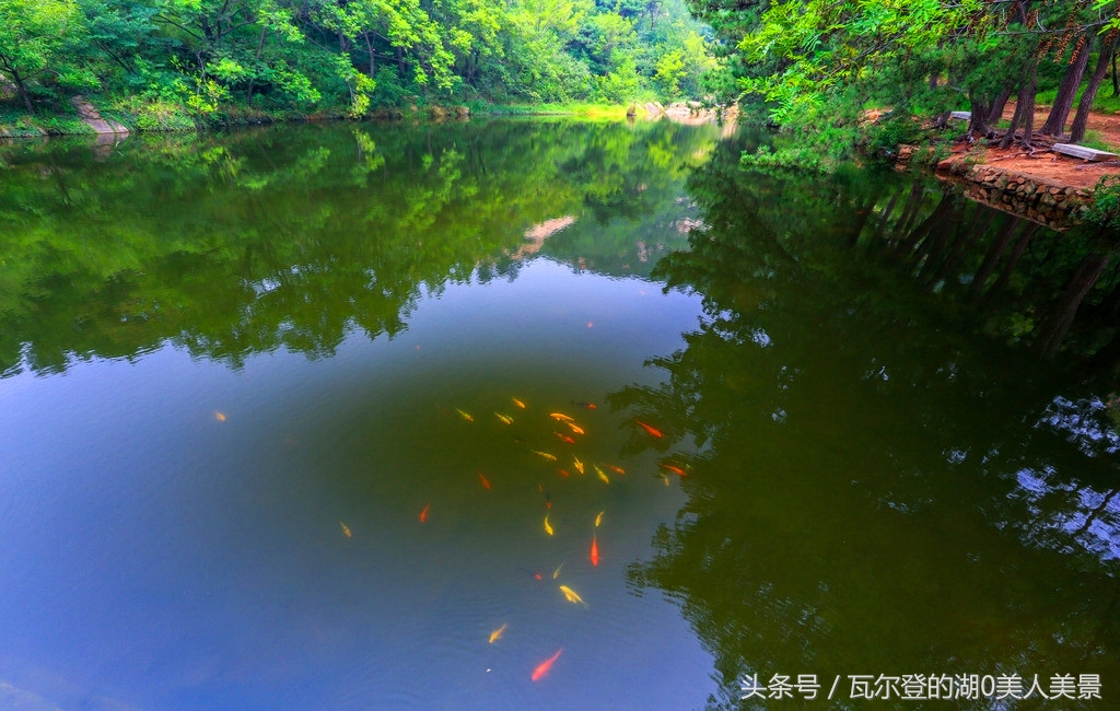 桃花涧风景区简介,河南省云台山旅游景点