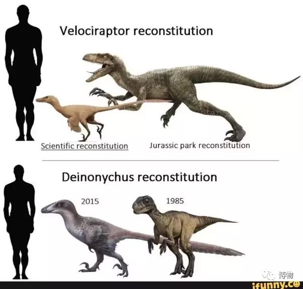 特暴龙为什么是恐龙最强的,暴龙跟霸王龙有多像