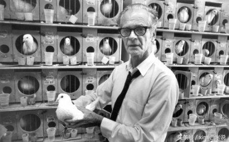 世界杯越来越没意思,世界杯没意义