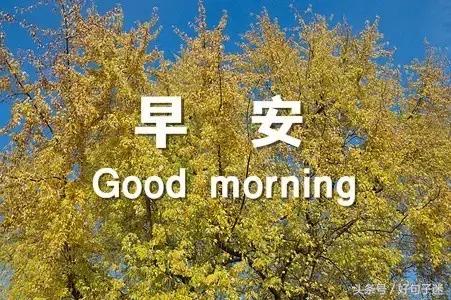 美好的早安祝福语微信集锦78句,早安祝福语简短早上好