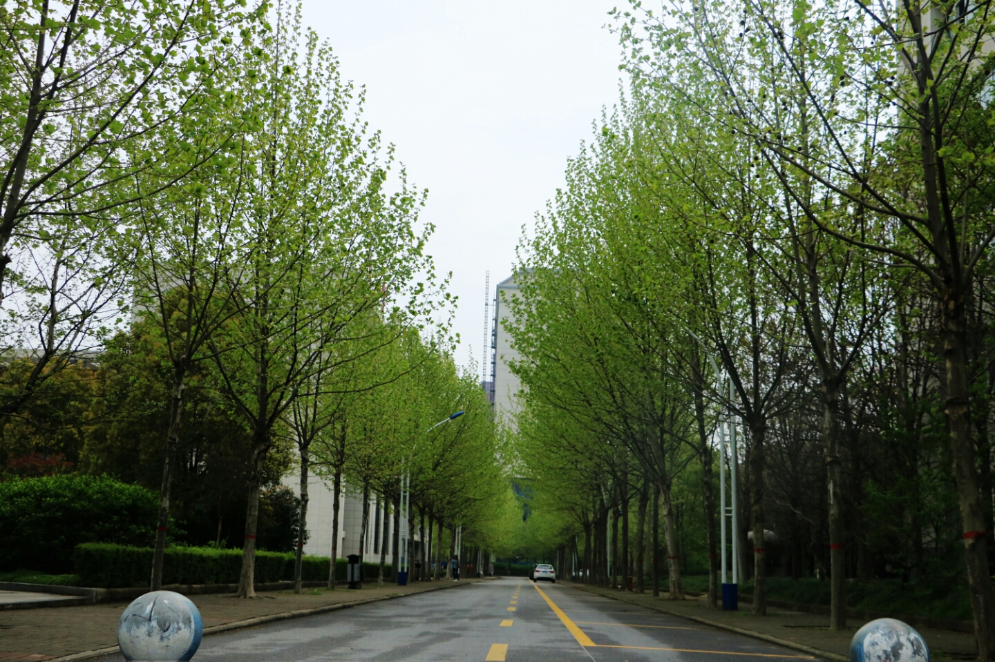 2022河南高考志愿填报哪个网站,2023河南高考志愿填报几个学校