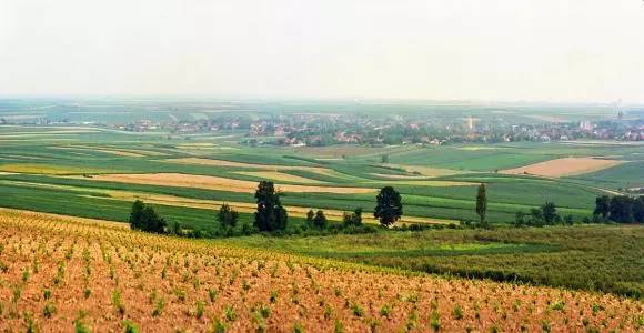 红酒世界杯,中国葡萄酒大赛获奖红酒