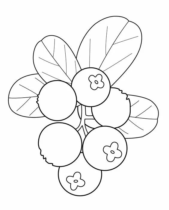 儿童简笔画蔬菜和水果,多吃水果蔬菜简笔画