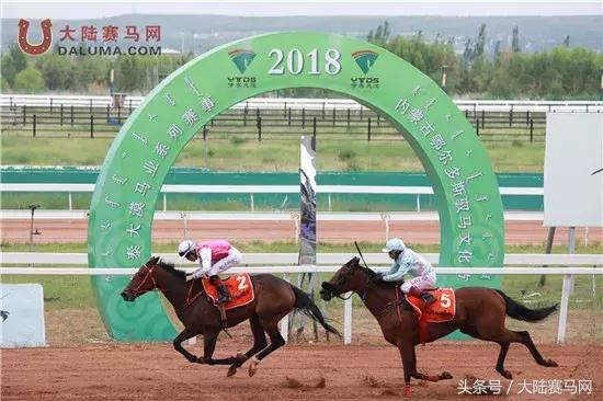 赛马点亮城市新名片：两位双冠王闪耀伊泰大漠“鄂尔多斯金杯”