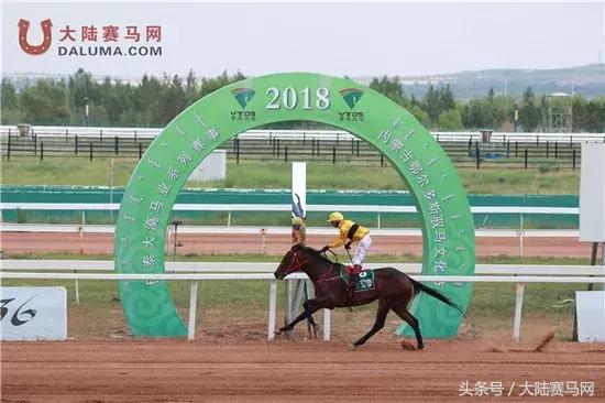 赛马点亮城市新名片：两位双冠王闪耀伊泰大漠“鄂尔多斯金杯”