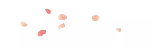 鏂囧寲澶ц禌鍐犲啗,鏂囧寲鍐犲啗