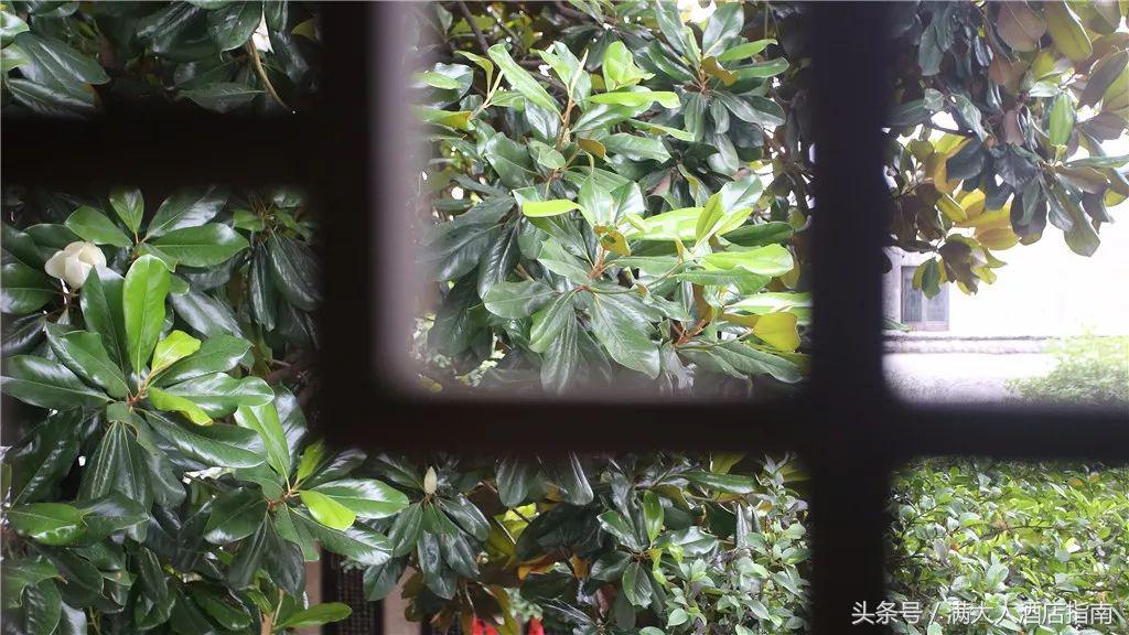 春日周庄游记,夜游周庄品质游