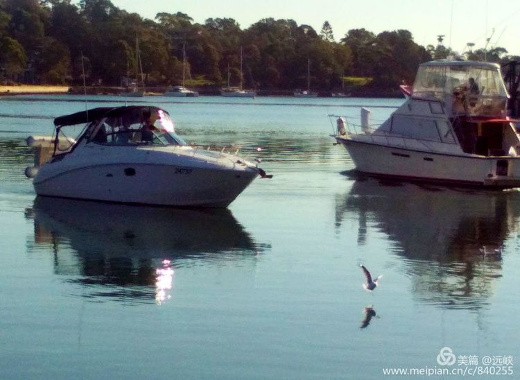 吃货在澳洲｜一边吃药，一边大吃海鲜，自嘲：宁愿疼死，不愿馋死