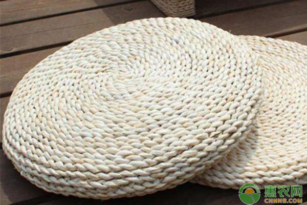 农村种植哪些果树可以致富,农村山坡种植什么可以致富