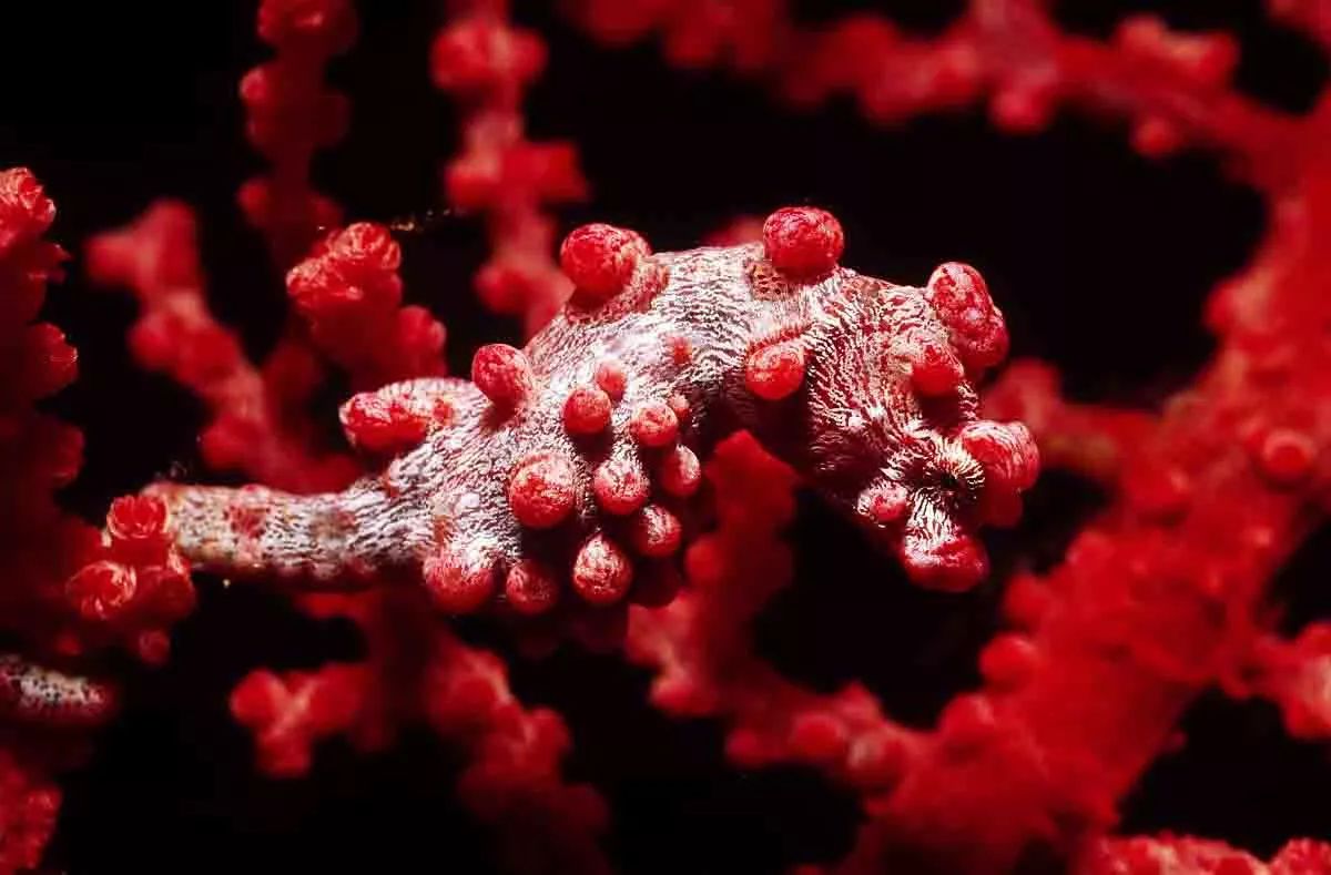 宸村帢宀涘浘鍏板娼滄按浜嬩欢,宸村帢宀涘浘鍏板娼滄按鏀荤暐