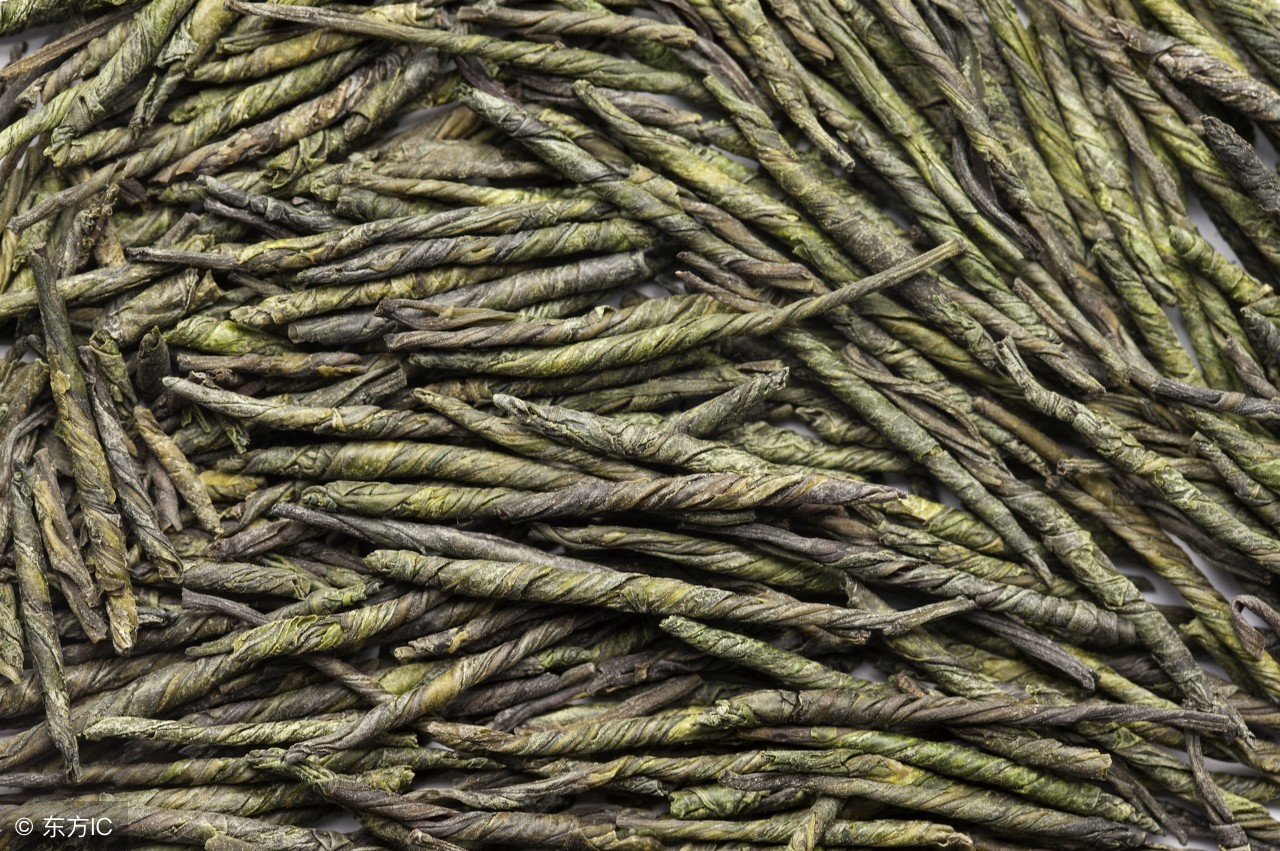 这茶全年可采，制茶简单，喝它告别降压药，应用广泛，种植有钱途