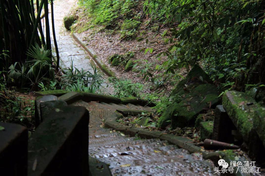 朝阳湖的美景,朝阳湖大美