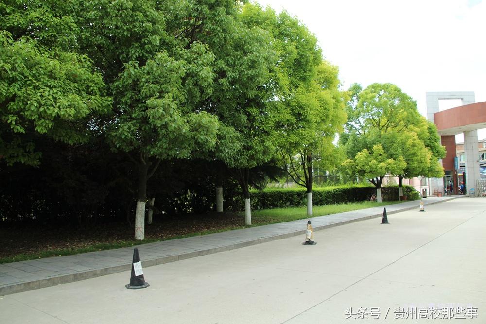 贵州专科报考征集志愿的学校,贵州专科学校何时填报志愿