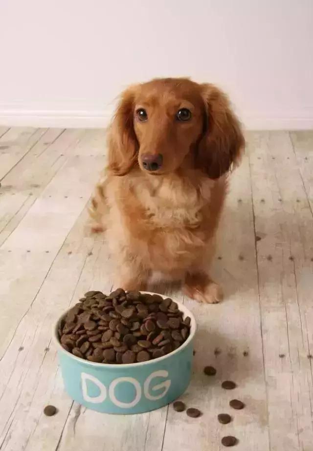 c罗梅西是怎么教育儿子的,c罗和梅西的狗