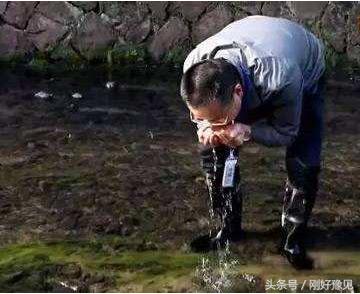 为什么动物能直接喝脏水,为什么动物可以喝不干净的水