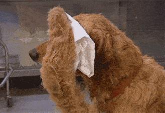 狂犬病致死率100%，这些救命知识一定要早知道！