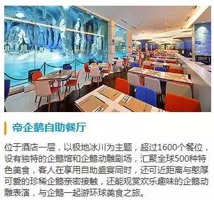 珠海海洋王国性价比最高的酒店,珠海海洋王国几家酒店