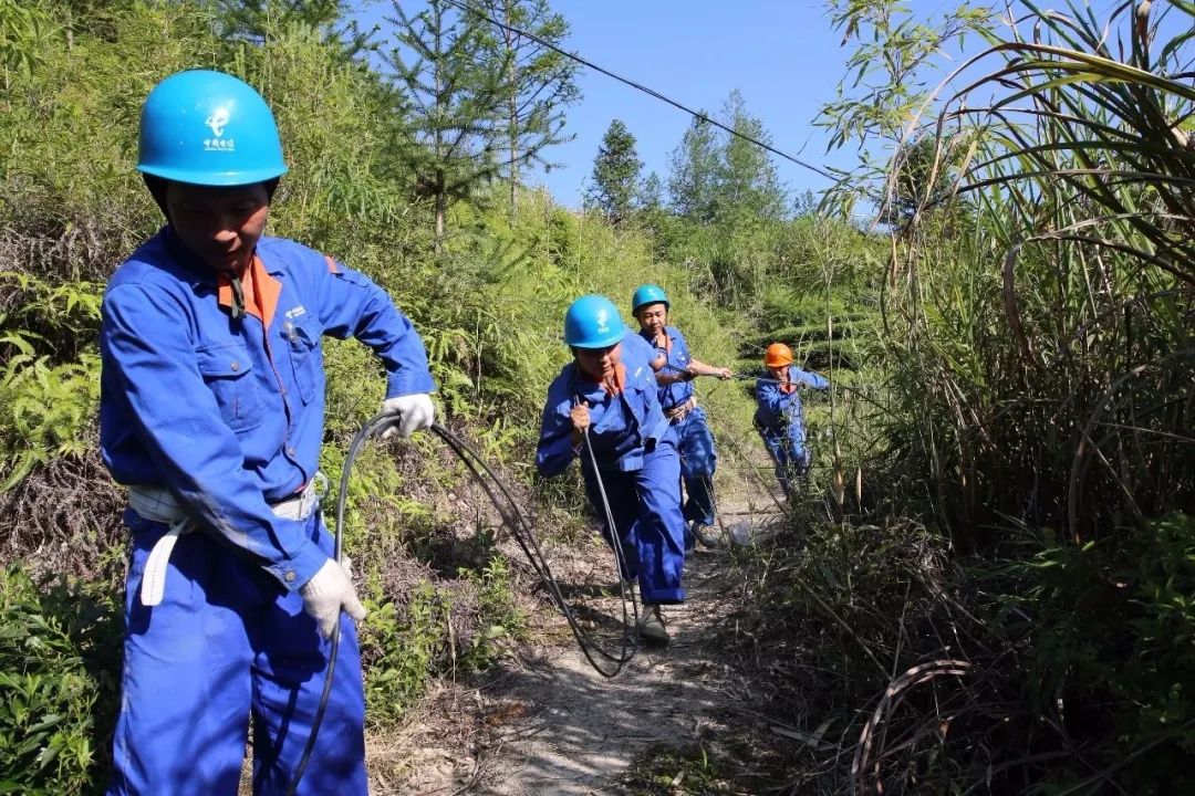 中国电信介绍中国电信,中国电信网络怎么样呢