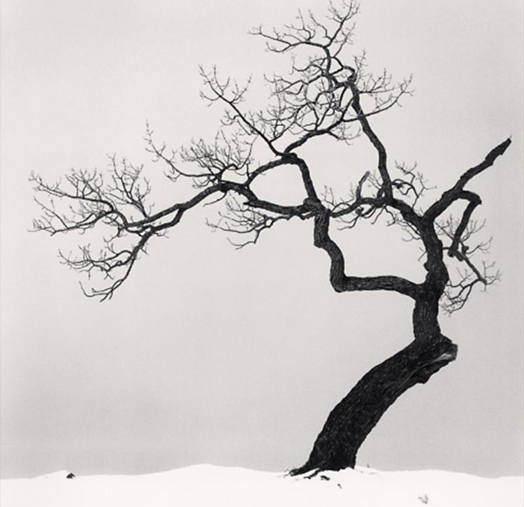 首愚法师,首愚法师准提仪轨