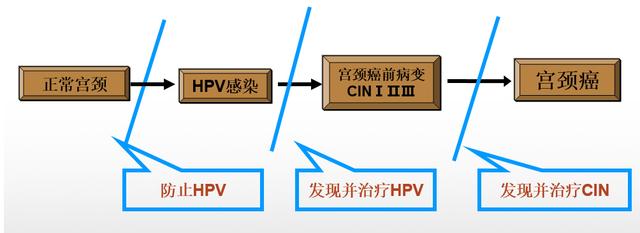 市面上有治疗HPV的药吗,网上治疗hpv的中药可信不