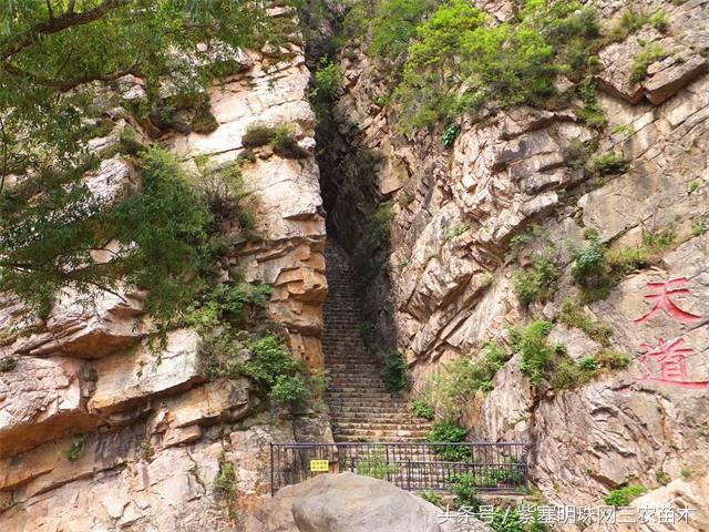 梨木台古树农家院,蓟县梨木台兴业缘农家院