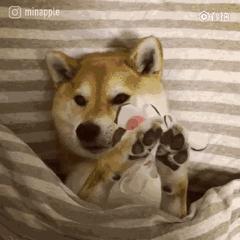 那些年我们用过的化妆品,网红都在用的面膜儿童