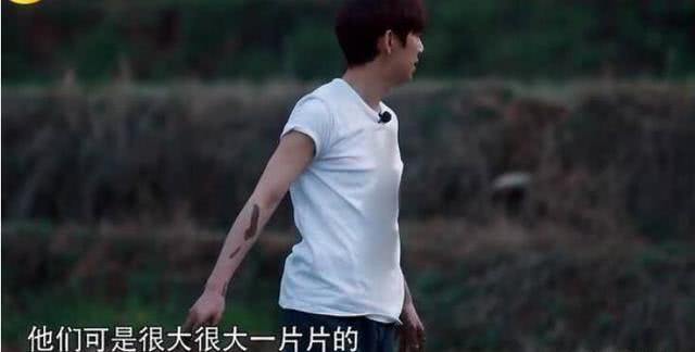 baby何炅最新视频,何炅baby衣服