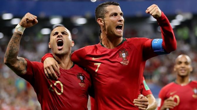 菜鸡互啄动图,菜鸡互啄短视频