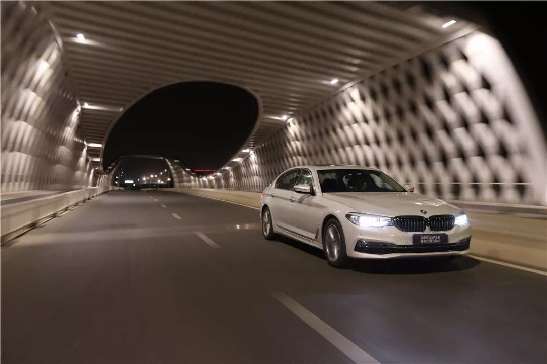 所罗门王的指环完整版,所罗门王的指环全文