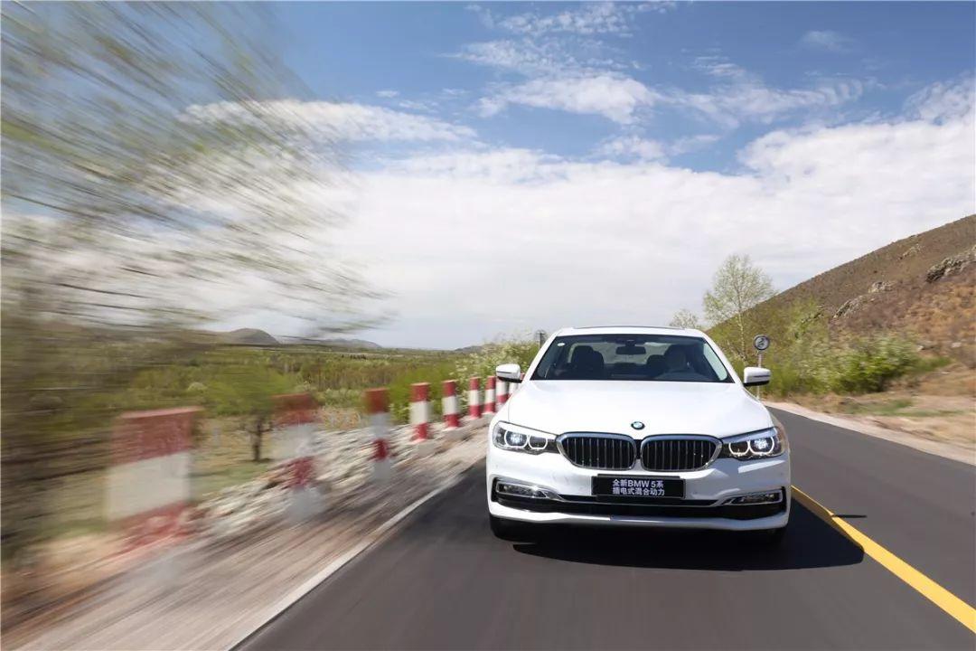 所罗门王的指环完整版,所罗门王的指环全文