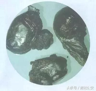 青少年远离毒品禁毒安全教育,远离毒品争做防毒拒毒小卫士