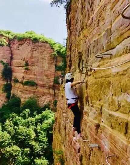 洛阳夏天一日游必去的地方景点,洛阳一日游适合去哪