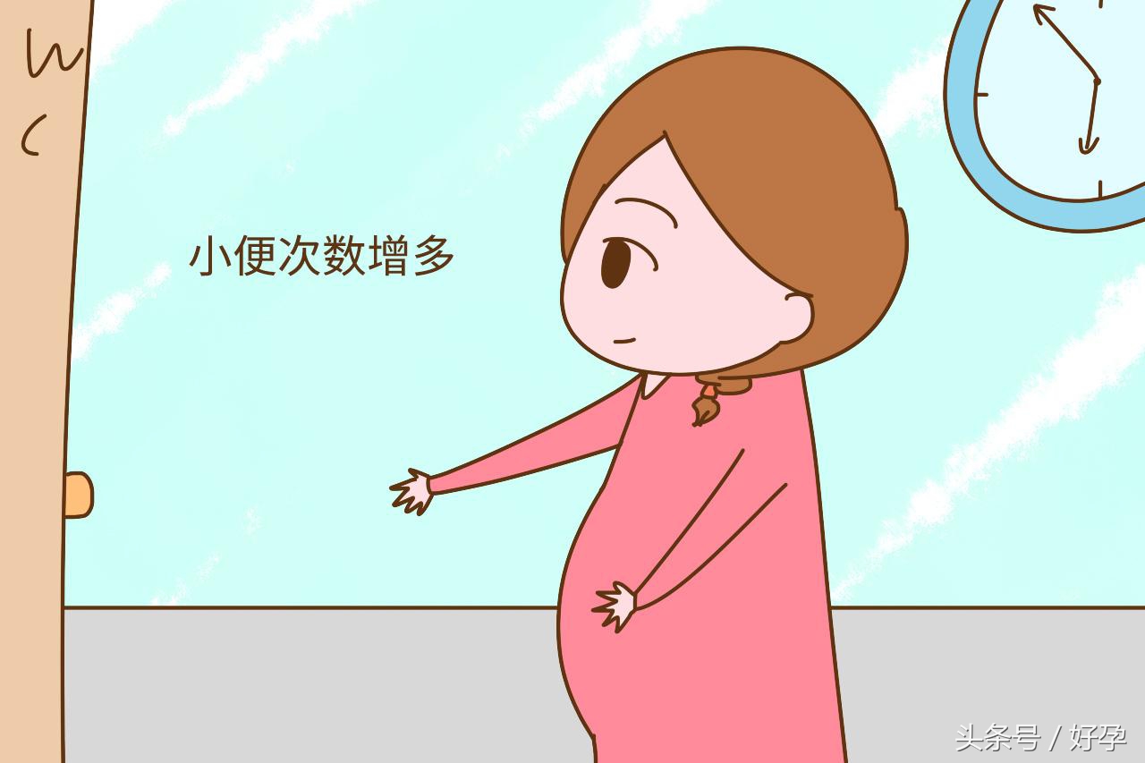 怀孕第一个月宝宝是什么样子,怀孕第一个月孩子长什么样子