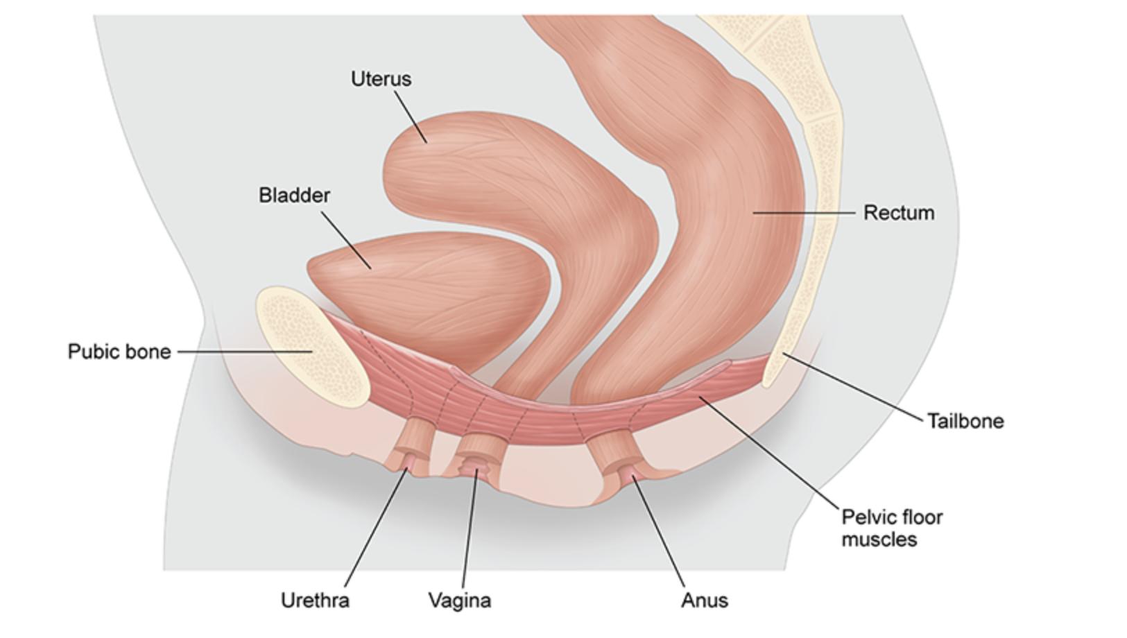 产后你的身体还好吗,产后9年盆底肌怎样修复
