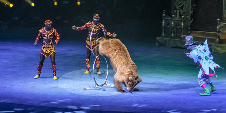 长隆大马戏飞鸟乐园,长隆梦幻大马戏儿童乐园