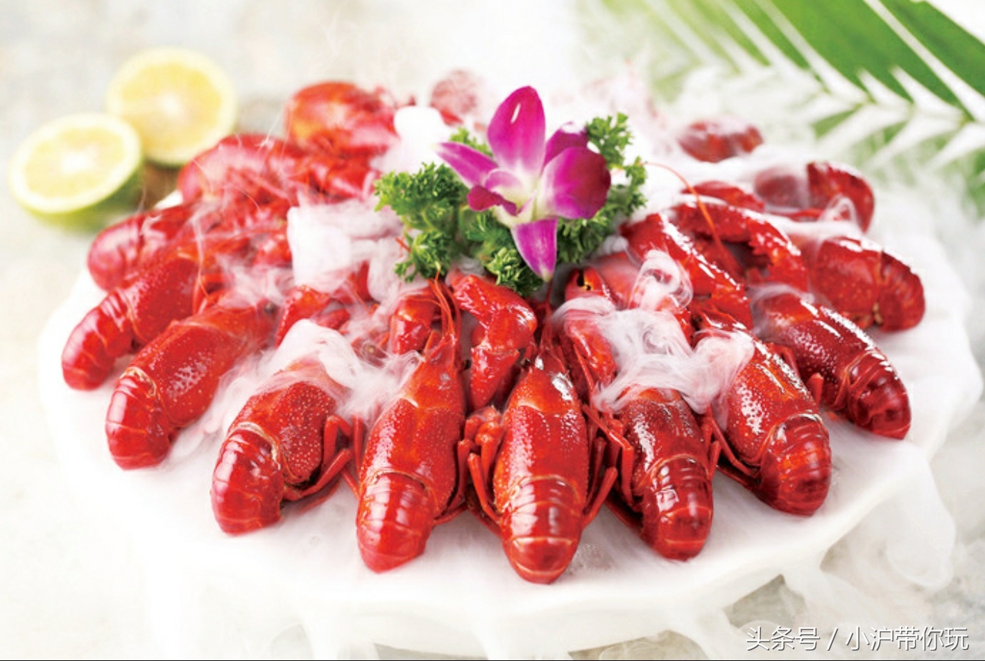 夏天最好吃的小龙虾,夏天不能错过的美味小龙虾