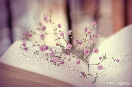 qq经典空间说说大全带图片,qq空间说说带图片短句