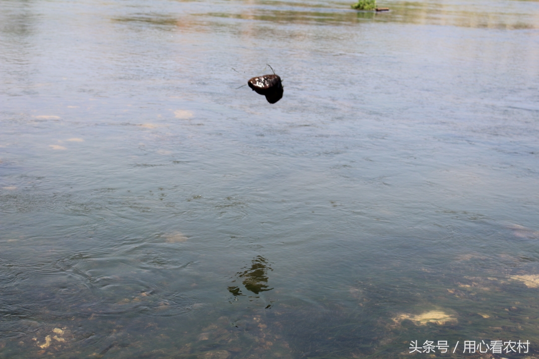 高手在民间弹珠赛道,高手在民间砸场子