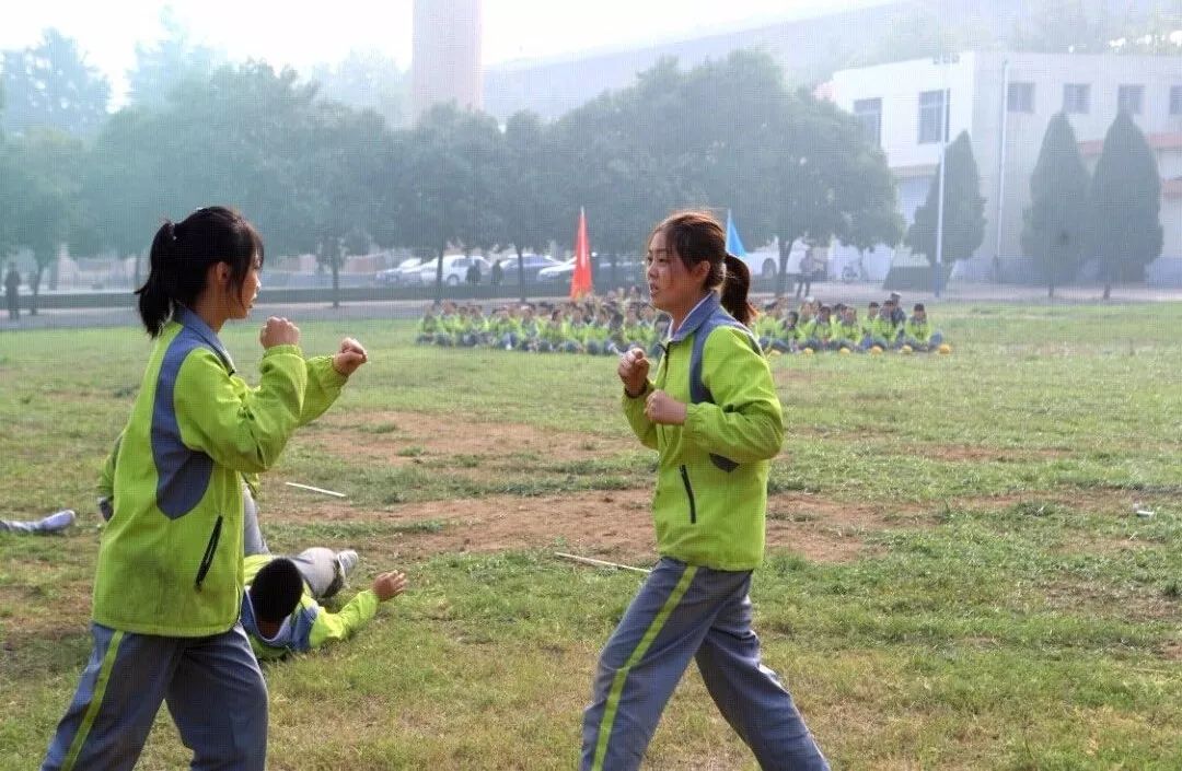 职业技术学院专业排名,职业技术学院招生专业一览表