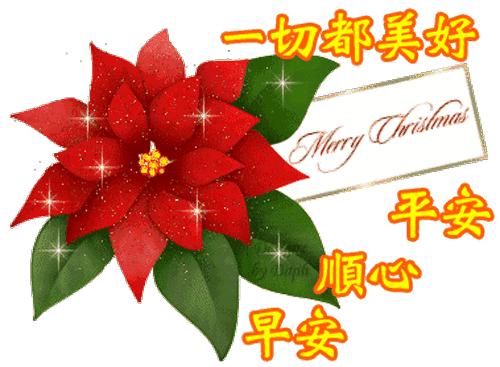 清清的晨风摇响快乐的铃铛，我的心奏起欢快的乐曲，亲爱的早上好