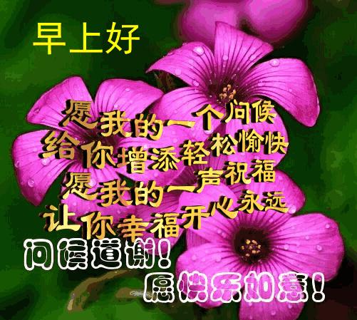 清清的晨风摇响快乐的铃铛，我的心奏起欢快的乐曲，亲爱的早上好