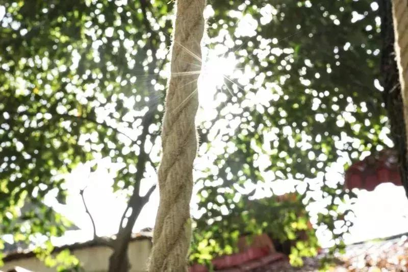 这个夏天我在武穴，你在哪里？