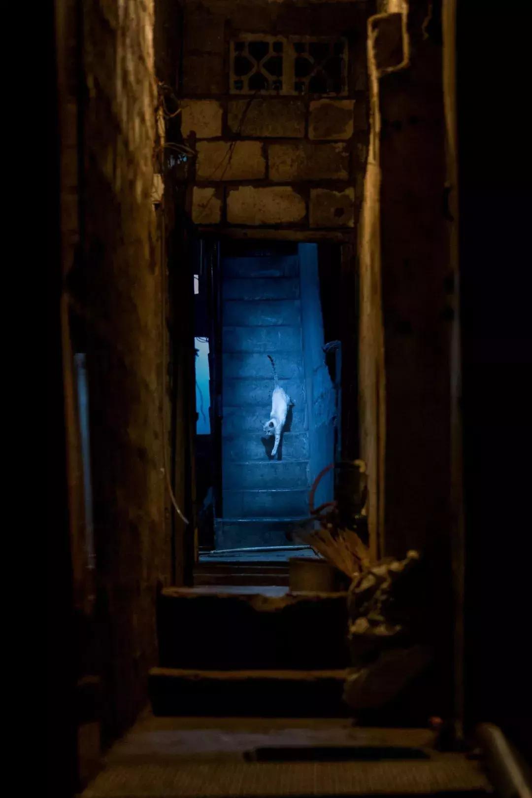 秋季旅行大片,旅行摄影大片有哪些