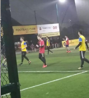 鹿晗有多爱芦苇,鹿晗有多爱猫