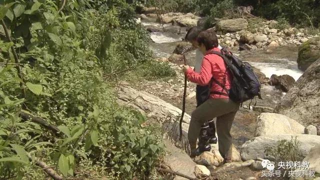 地理中国｜发出奇异叫声的“石蹦”究竟是什么生物？