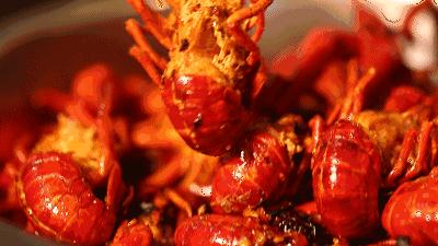 郑州十大小龙虾,郑州市区哪儿家小龙虾好吃