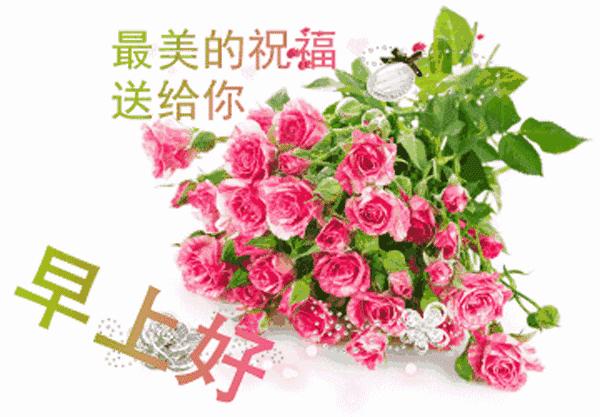 早上好问候语带鲜花表情包,早上好带字图片问候大全