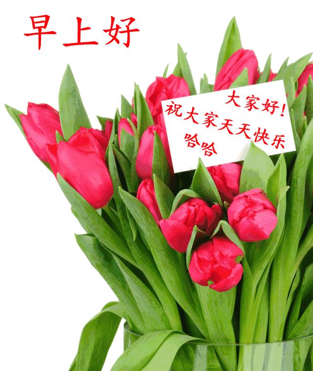 早上好问候语带鲜花表情包,早上好带字图片问候大全