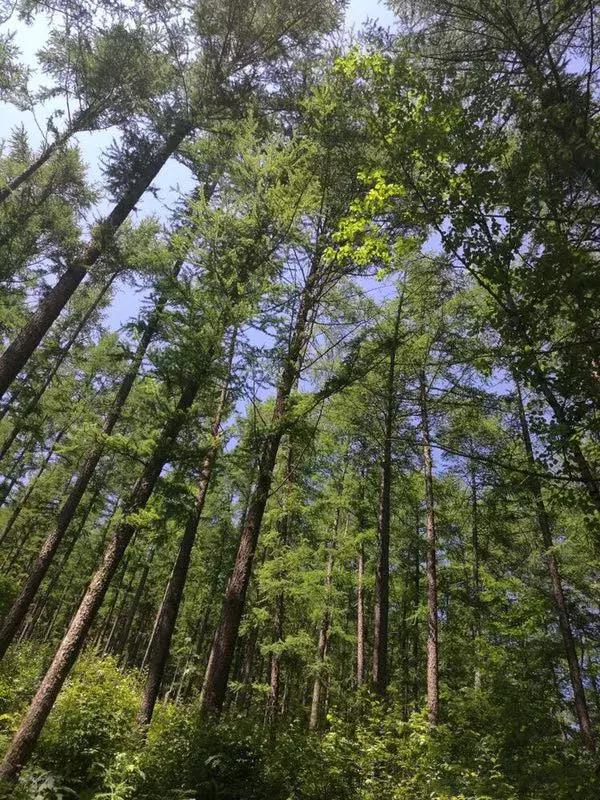 醉美临汾城,临汾最值得一看的地方