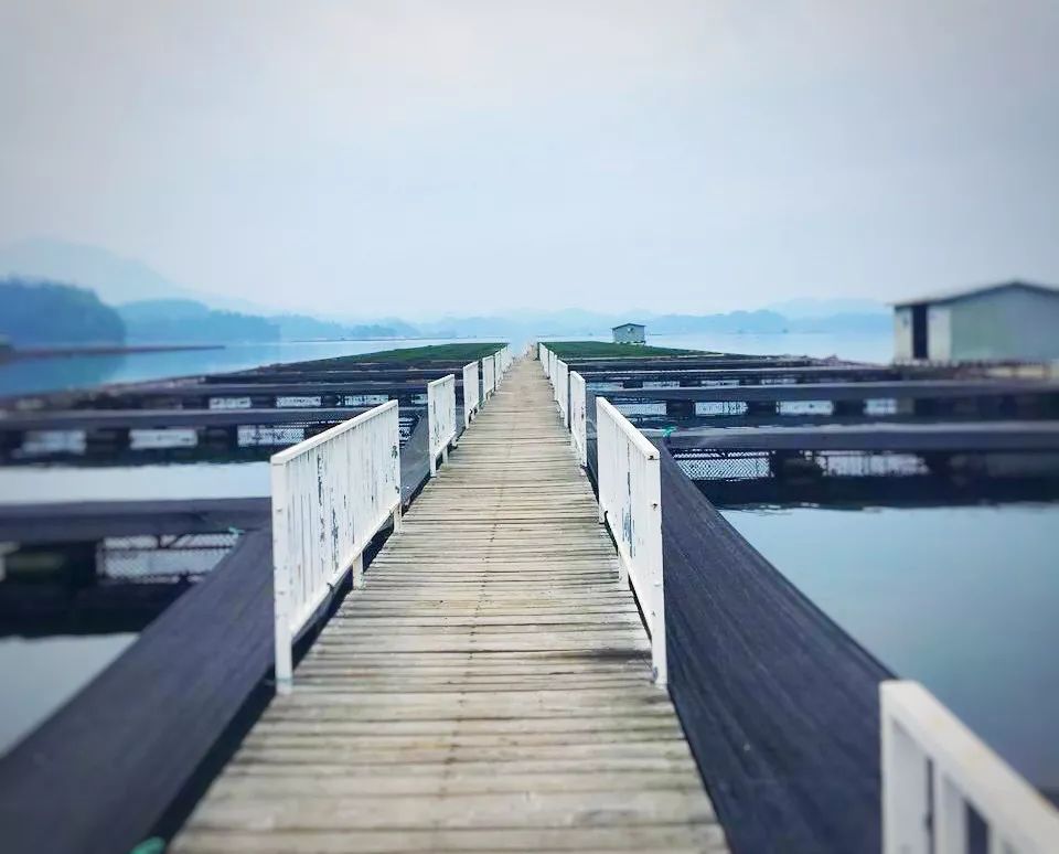 世界杯特色餐,好吃到尖叫的咖喱饭